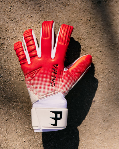 Paes Tembok Goalkeeper Gloves